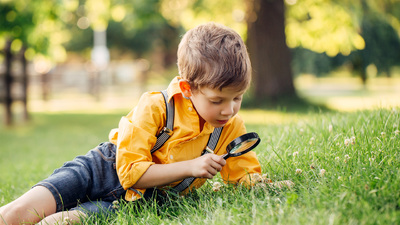 Zoekbattle_origineel-1